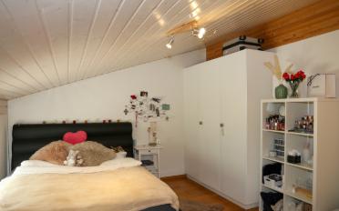Doppeleinfamilienhaus 6.5 Zimmer - image - 6