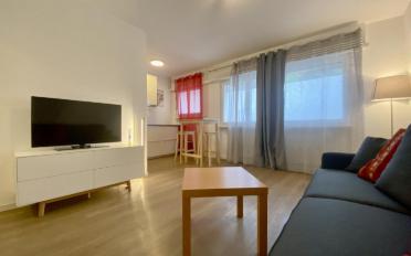 Wohnung ein Zimmer - image - 4