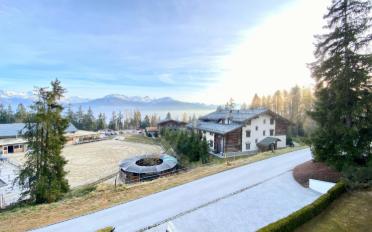 Wohnung 2.5 Zimmer - image - 3