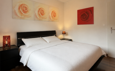 Duplex 4.5 Zimmer - image - 9