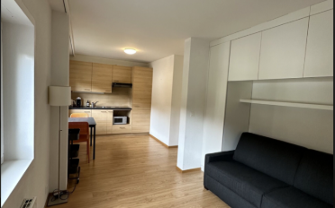 Wohnung 1.5 Zimmer - image - 10