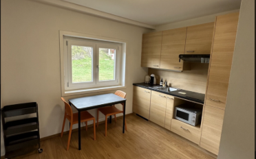 Wohnung 1.5 Zimmer - image - 11