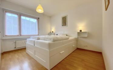 Wohnung 2.5 Zimmer - image - 5