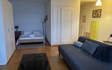 Furnished flat 1.5 rooms - image - 1