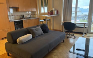Furnished flat 1.5 rooms - image - 4
