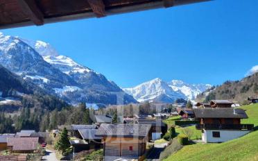 Chalet 5.5 pièces - image - 9