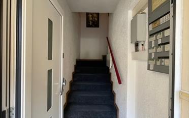 Büro 7 Zimmer - image - 8