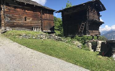 Rustico 2.5 pièces - image - 1