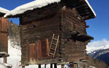 Rustic house 5 rooms - image - 5