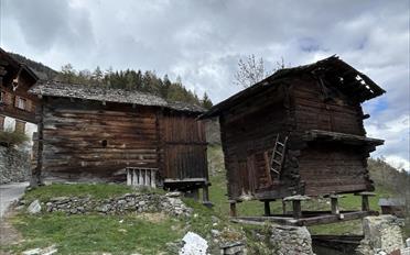 Rustic house 5 rooms - image - 10