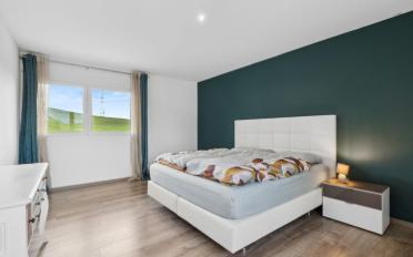 Einfamilienhaus 8.5 Zimmer - image - 8