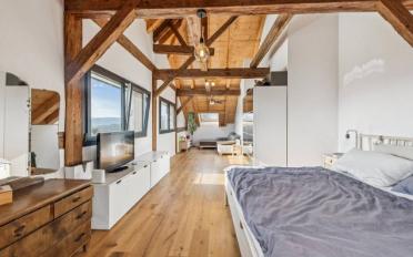 Doppeleinfamilienhaus 8.5 Zimmer - image - 3