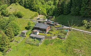 Einfamilienhaus 3.5 Zimmer - image - 1