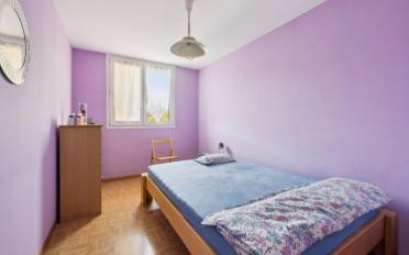Bifamiliar house 7 rooms - image - 9