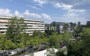 Wohnung 3 Zimmer - image - 3
