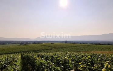 Single house 12 rooms - image - 1