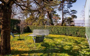 Villa 10 Zimmer - image - 13