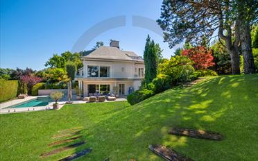 Single house 10 rooms - image - 1
