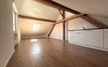 Wohnung ein Zimmer - image - 4