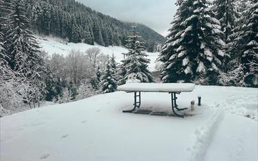 Chalet 6.5 rooms - image - 2