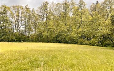 Duplex 5.5 rooms - image - 1