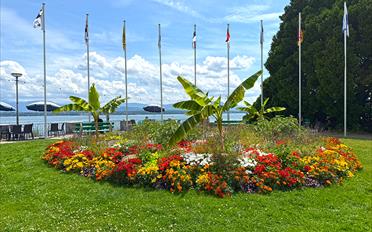 Attic flat - image - 4