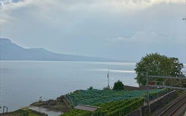 Wohnung - image - 3
