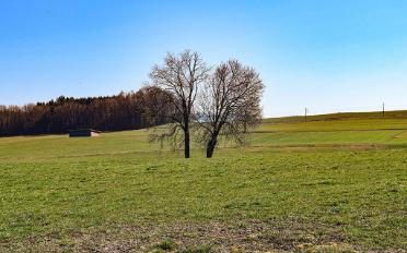 Villa 5.5 Zimmer - image - 2