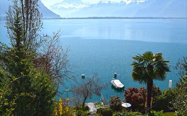 Villa - image - 4
