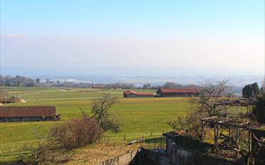 Villa - image - 2