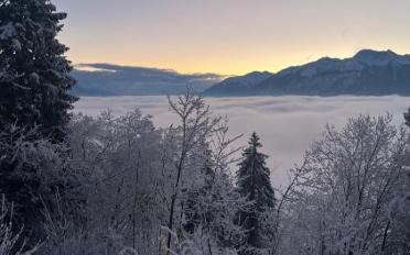 Wohnung 3.5 Zimmer - image - 1