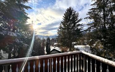 Chalet 7.5 rooms - image - 2