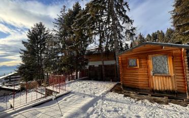 Chalet 7.5 rooms - image - 13