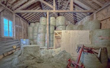 Farm house - image - 5