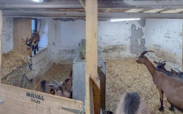 Farm house - image - 9