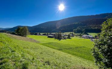 Terrain à bâtir - image - 11