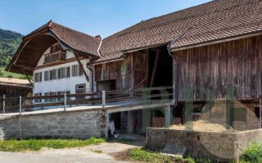Ferme - image - 4