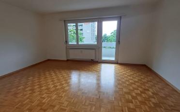 Wohnung ein Zimmer - image - 2