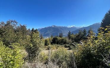 Agricultural land - image - 2