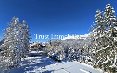 Chalet 8.5 rooms - image - 4
