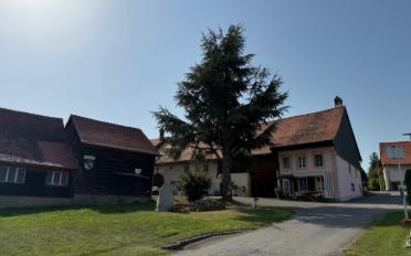 Farm house 14 rooms - image - 1