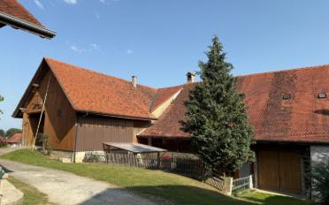 Farm house 14 rooms - image - 4