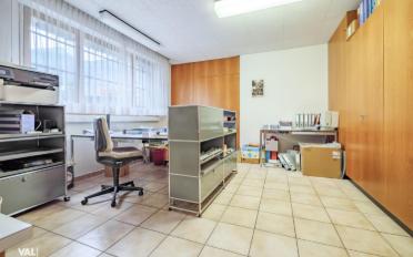 Einfamilienhaus 9.5 Zimmer - image - 13