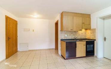 Wohnung 1.5 Zimmer - image - 8