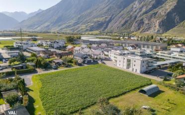 Attikawohnung 4.5 Zimmer - image - 12