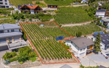 Building land - image - 1