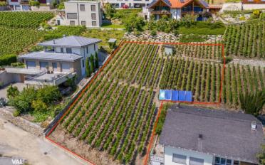 Building land - image - 3