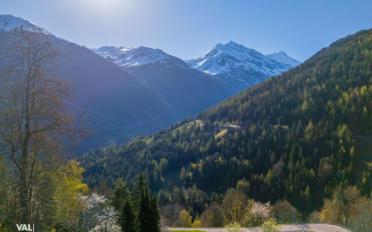 Terrain à bâtir - image - 6