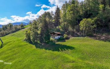 Chalet 3.5 Zimmer - image - 2