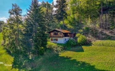 Chalet 3.5 Zimmer - image - 1